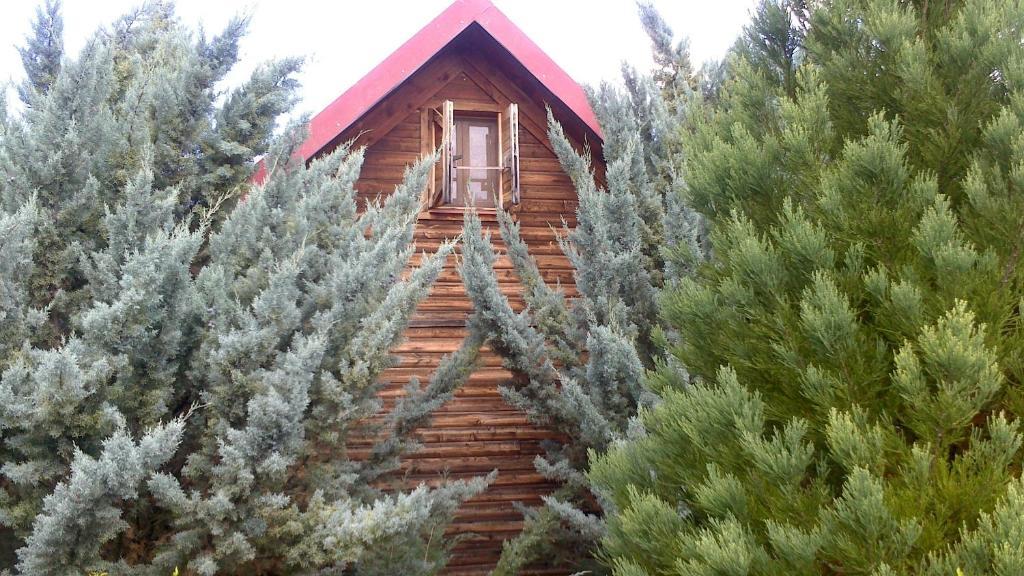 Pensjonat El Muerdago De Canada Cañada del Hoyo Zewnętrze zdjęcie